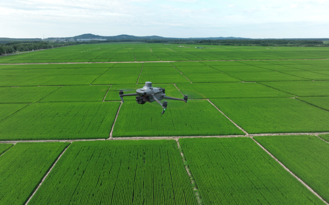 DJI Mavic 3 Multispectral: O drone revolucionário para agricultura de precisão
