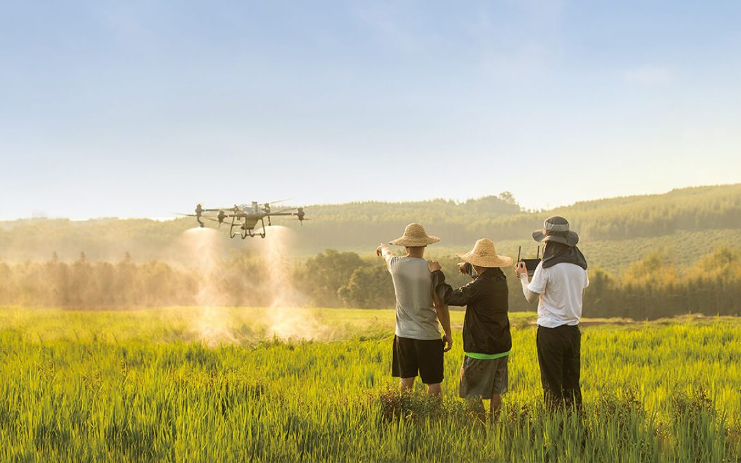 Relatório revela que mais de 200.000 drones DJI estão sendo utilizados na agricultura