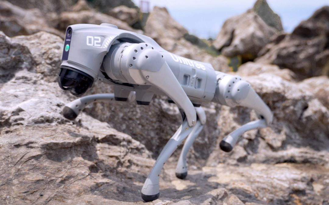 Alasca Inicia Testes com Cão-Robô para Proteger Pistas de Aeroportos de Animais Selvagens