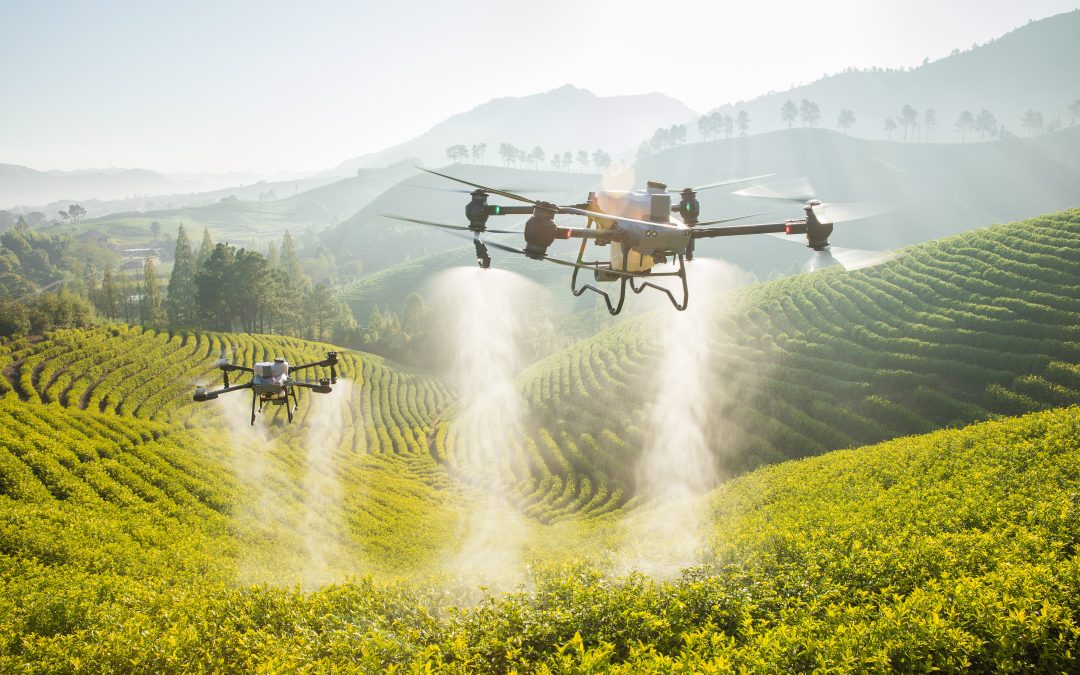 Os novos drones T50 e T25 chegaram ao Brasil !