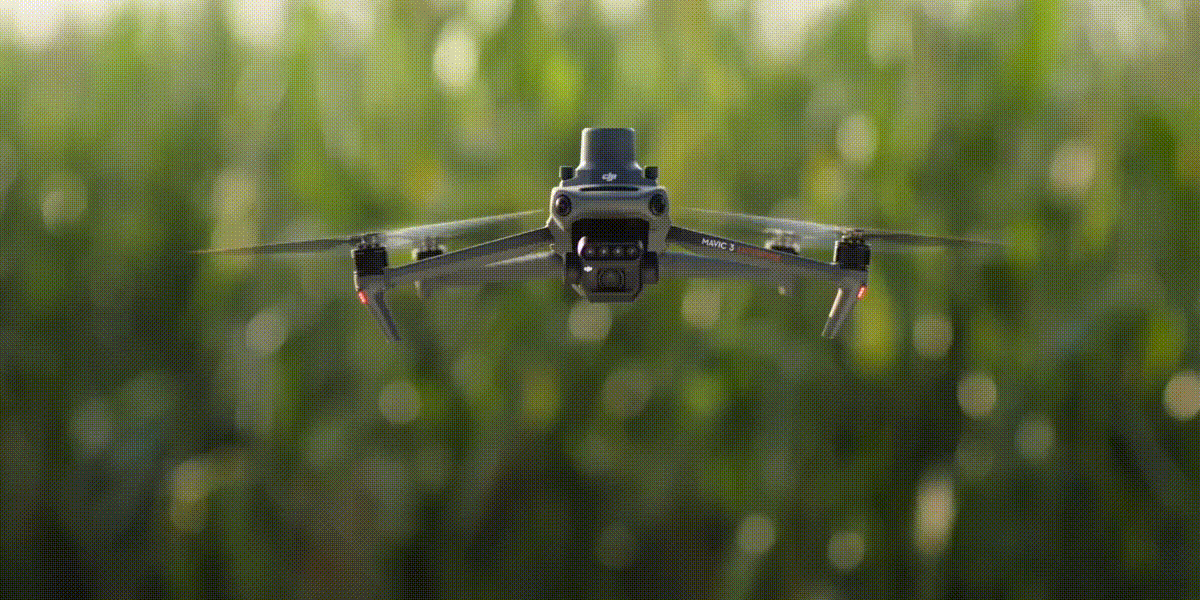 Foto: T20P DJI Agras Intelligent Cloud
