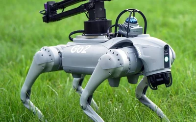 Cão-robô revoluciona inspeções de bueiros no Nordeste: DNIT aposta em tecnologia de ponta para garantir segurança nas rodovias