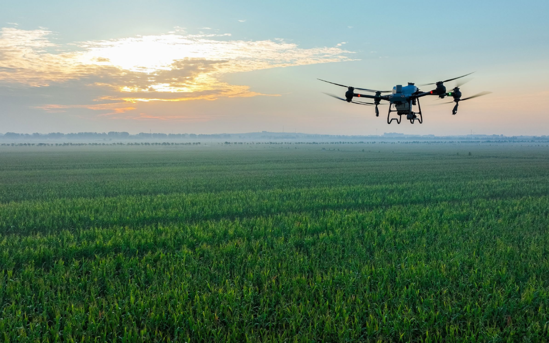Expansão global da indústria de drones agrícolas já é uma realidade: veja o relatório anual da DJI