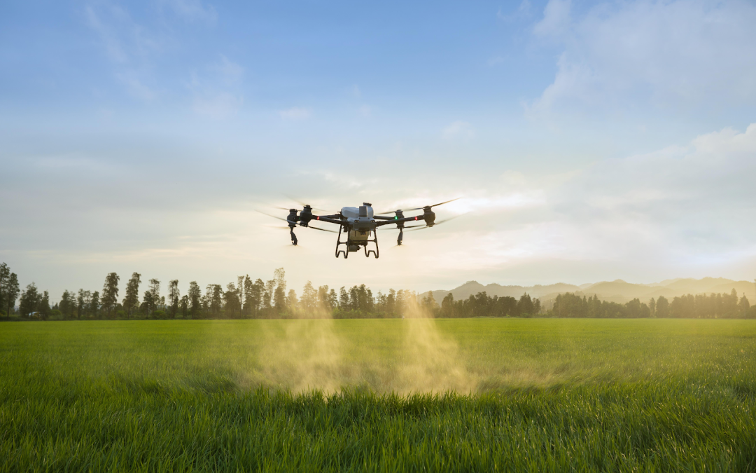 Drones na agricultura: líder do mercado de molhos de tomate e milho no Brasil aumenta área plantada em 3,5%