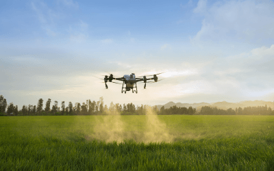 Drones na agricultura: líder do mercado de molhos de tomate e milho no Brasil aumenta área plantada em 3,5%