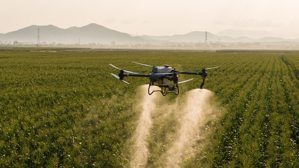 A imagem mostra um drone pulverizador, modelo T50 auxiliando em uma operação.