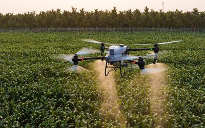 Por que utilizar o pulverizador DJI AGRAS T50 na sua operação de drones agrícolas?