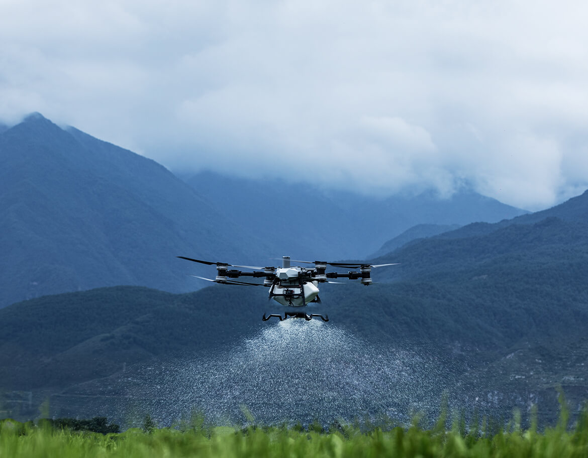 Descrição da Imagem 7