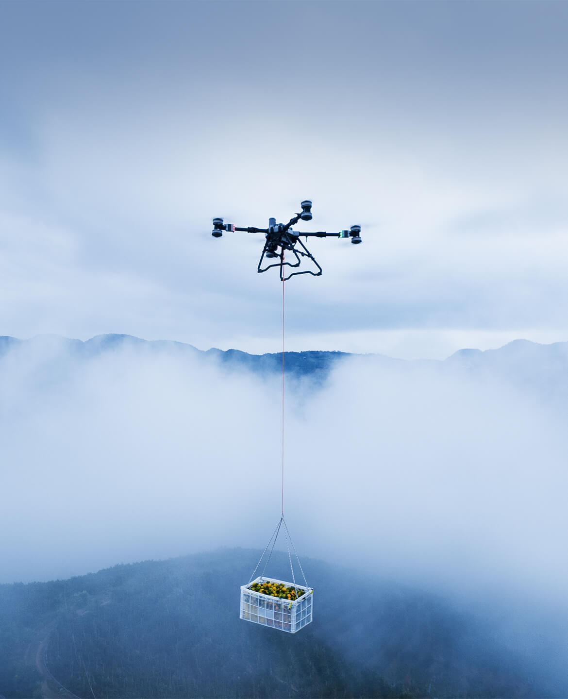 Descrição da Imagem 9