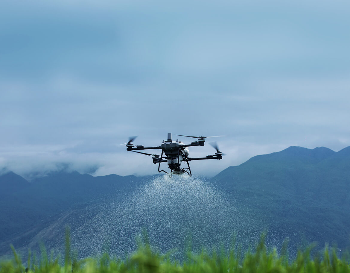 Descrição da Imagem 7