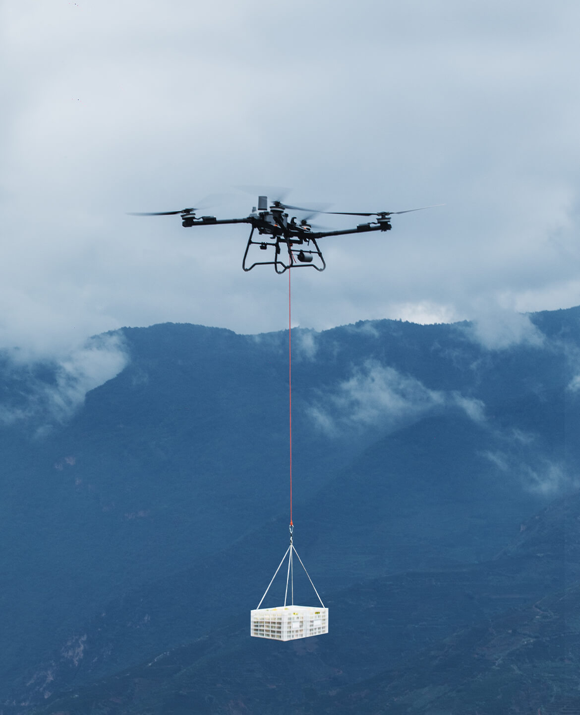 Descrição da Imagem 9